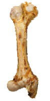 Dog Snacks Jumbo bone (Jumboknochen) 1 Piece Anifit
